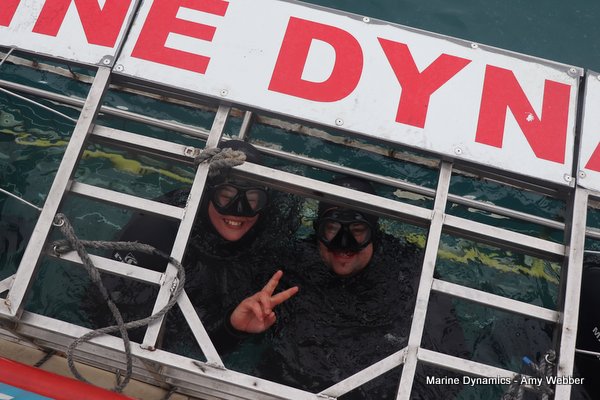 Shark Cage Diving, South Africa