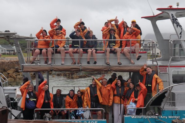 Shark Cage Diving, South Africa