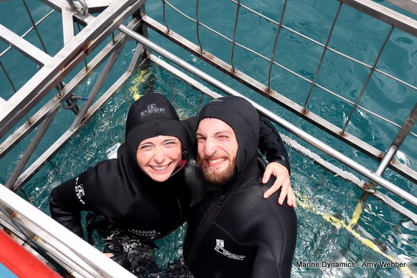 Shark Cage Diving, South Africa