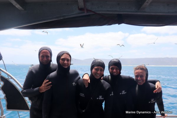 Shark Cage Diving, South Africa