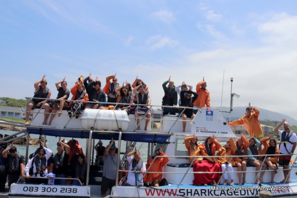 Shark Cage Diving, South Africa