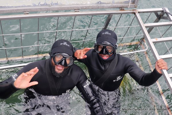 Shark Cage Diving, South Africa