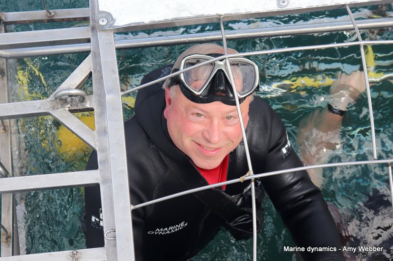 Shark Cage Diving, South Africa