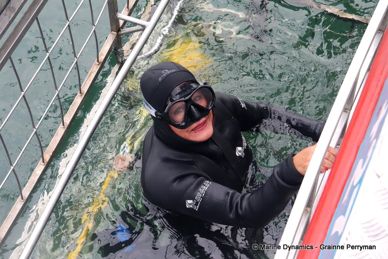 Shark Cage Diving, South Africa