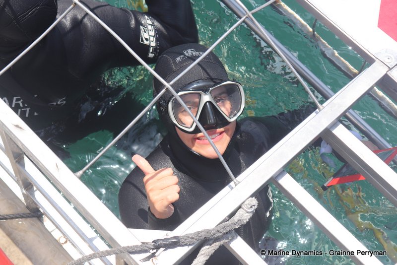 Shark Cage Diving, South Africa