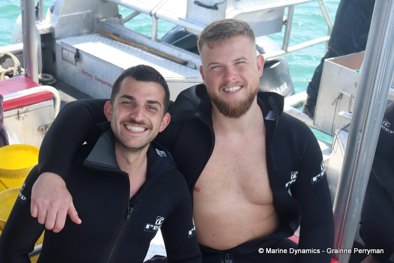 Shark Cage Diving, South Africa