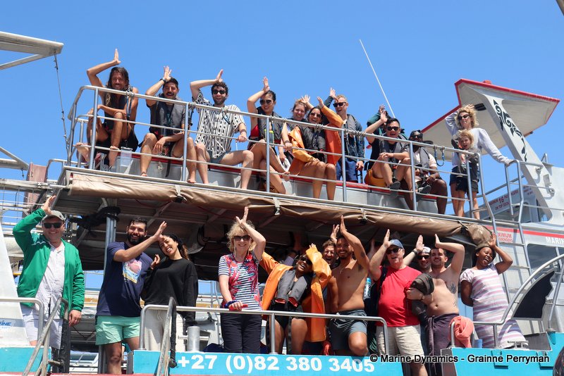 Shark Cage Diving, South Africa