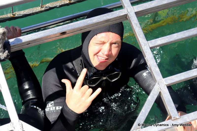 Shark cage diving, South Africa