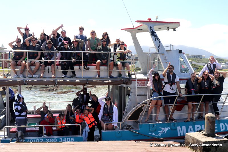 Shark Cage Diving, South Africa
