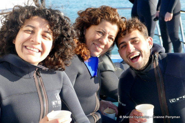 Shark cage diving, South Africa