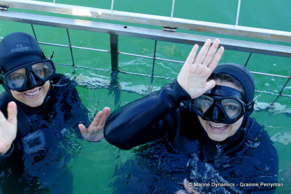 Shark cage diving, South Africa