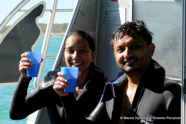 Shark cage diving, South Africa