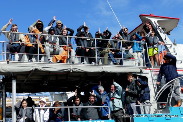 Shark cage diving, South Africa