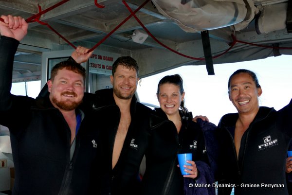 Shark cage diving, South Africa