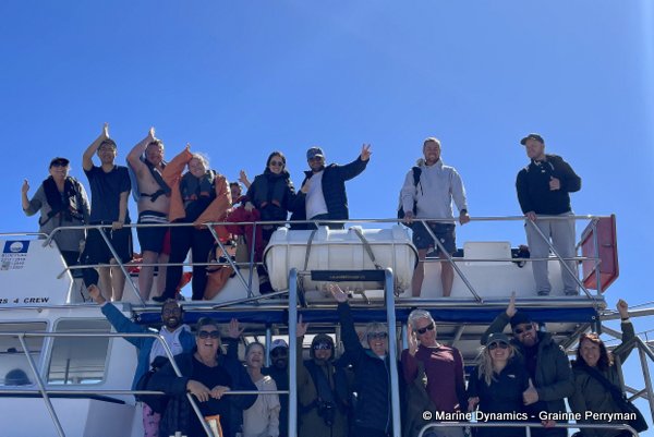 Shark cage diving, South Africa