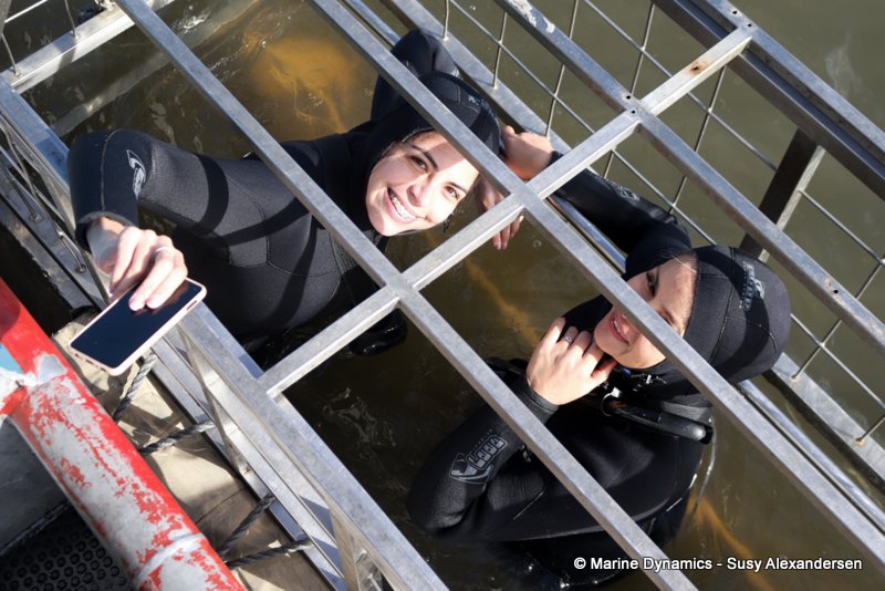 Shark cage diving, South Africa