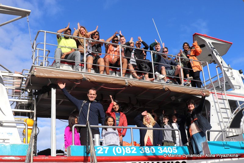 Shark Cage Diving, South Africa