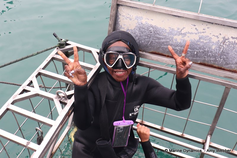 Shark cage diving, South Africa