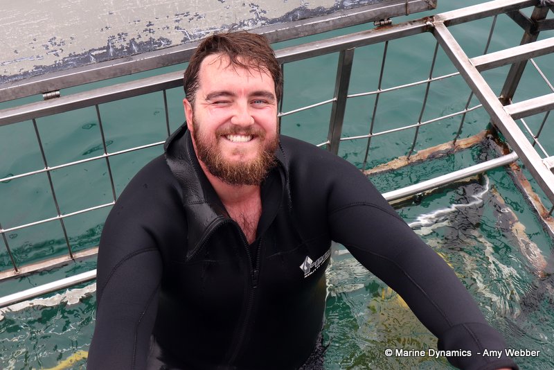 Shark cage diving, South Africa