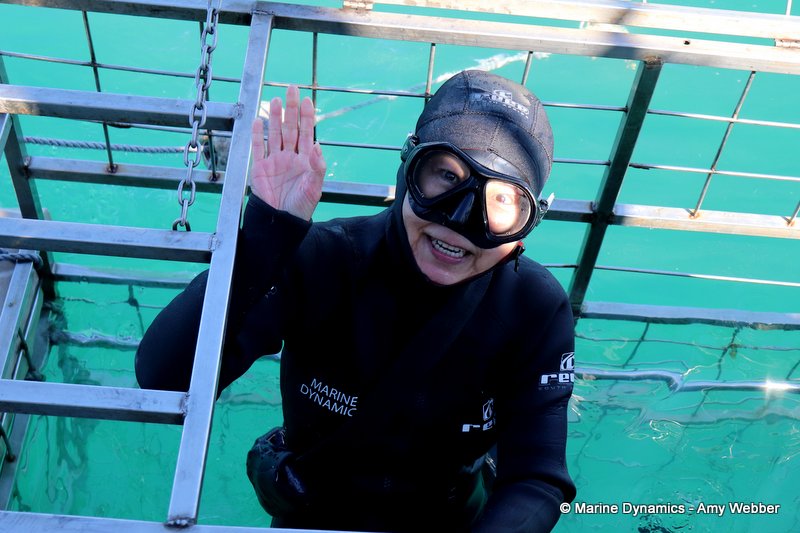 Shark Cage Diving, South Africa